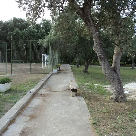 Nocleg ze śniadaniem Ulivi D'argento 3*