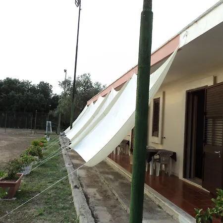 Ulivi D'argento San Cesario di Lecce