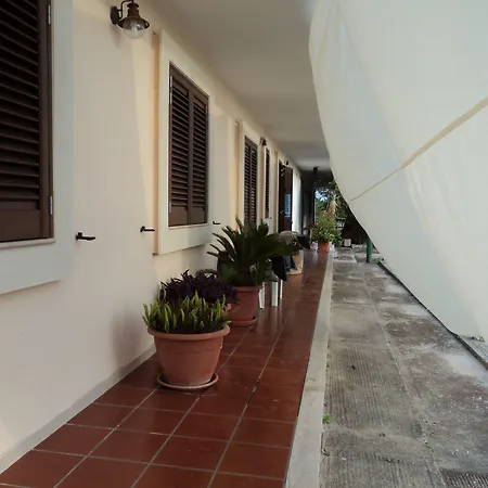 Ulivi D'argento 3* San Cesario di Lecce