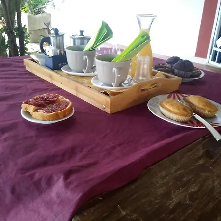 Ulivi D'argento Couette-café 3*