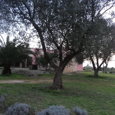 Ulivi D'argento 3* Cavallino di Lecce